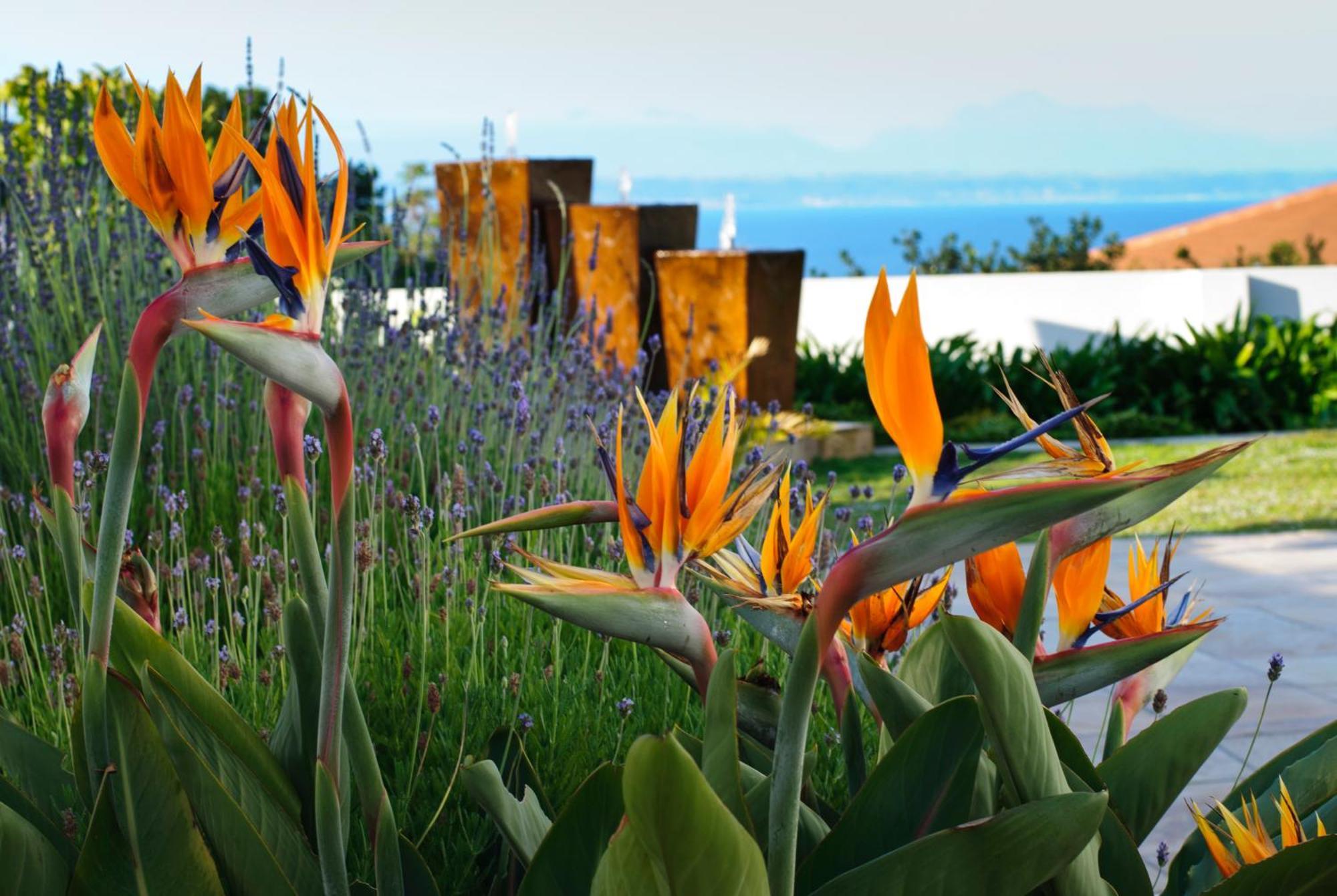 Aquamarine Guest House Mossel Bay Exterior photo